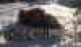  " "     