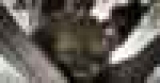          ()