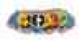Google   44- -